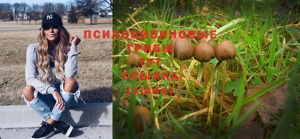 соль курить ск Алексеевка