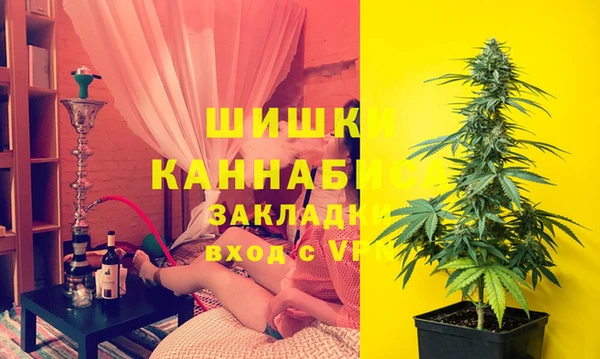 бошки Сатка