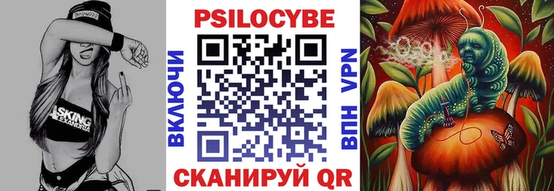 Галлюциногенные грибы Psilocybine cubensis  Грайворон 